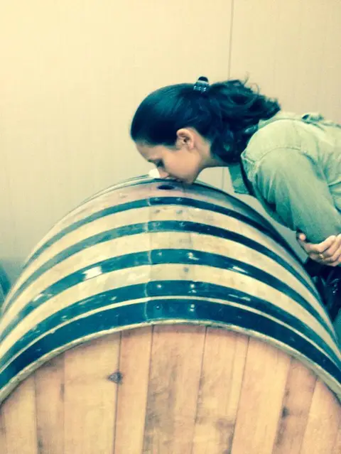 Guest leaning over an oak barrel to smell wine through the bung hole in a barrel room