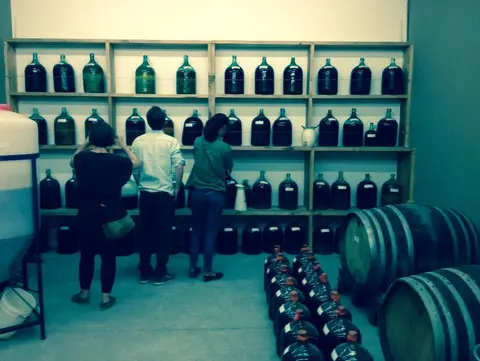 Three visitors looking at shelves of glass demijohns beside oak barrels in a winery cellar