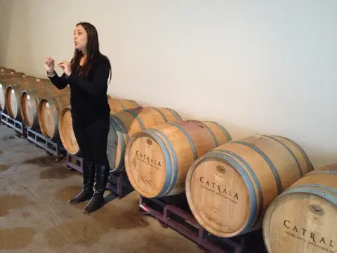 Guide explaining barrel ageing beside stacked oak barrels branded Catrala