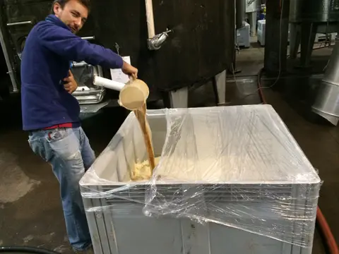 Cellar worker tipping a wooden bucket of pale must into a lined bin beside a fermentation vat
