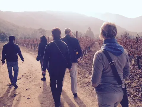 Small group of guests walking a dirt track between dormant vine rows, hazy hills behind