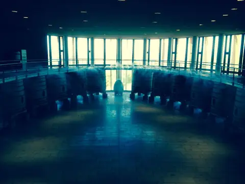 Circular cellar with conical vats arranged in a ring beneath tall backlit windows