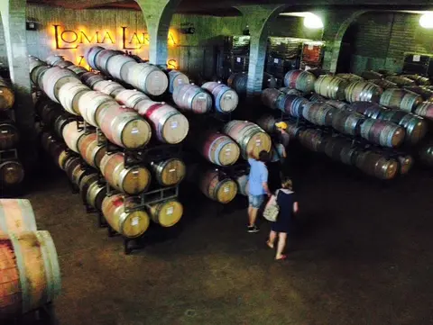 Rows of oak barrels under brick arches in the Loma Larga barrel cellar, two visitors walking between them