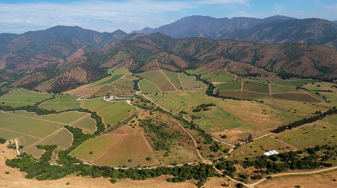 Matetic Vineyards gravity-flow winery in the Rosario Valley