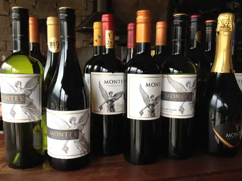 Row of Montes bottles — Limited Selection, Classic Series, Alpha and a traditional-method sparkling — set out for a tasting
