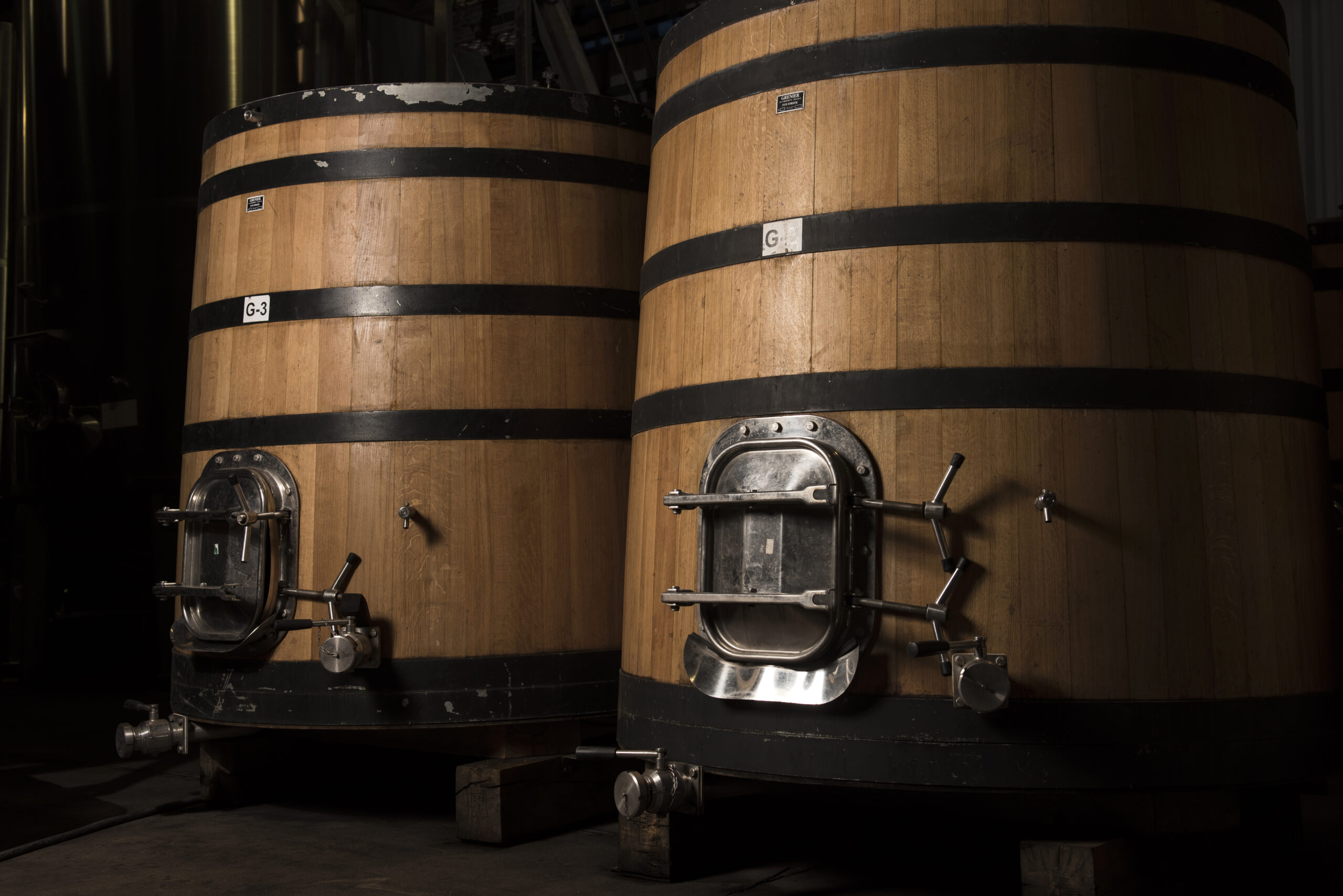 Viña Morandé winery in the Casablanca Valley