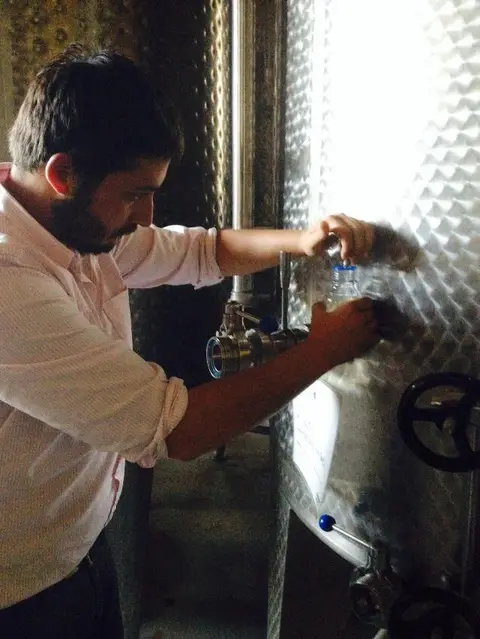 Winemaker drawing wine from the valve of a stainless steel fermentation tank