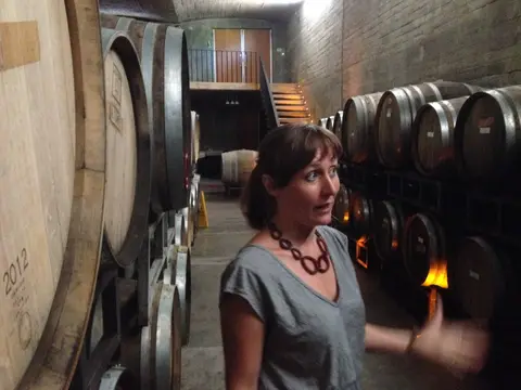 Guide talking beside large oval oak casks in a vaulted brick underground cellar, small barrels racked opposite