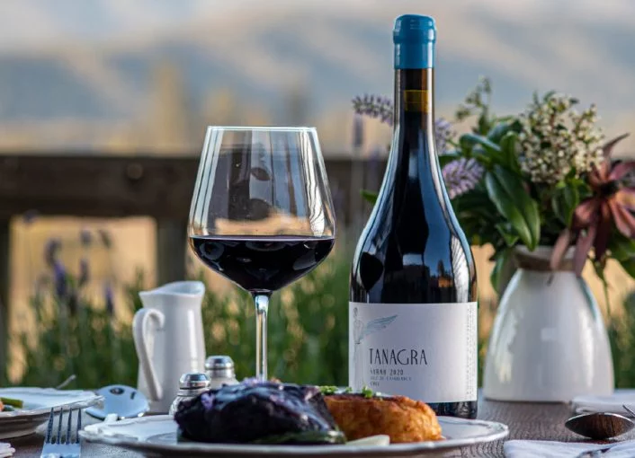 Villard Fine Wines estate in the Casablanca Valley