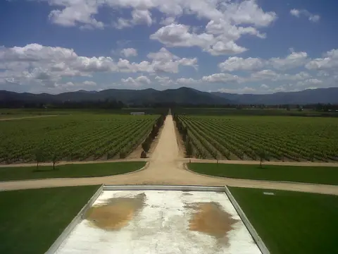 Straight dirt avenue running away between symmetrical blocks of vines towards distant hills