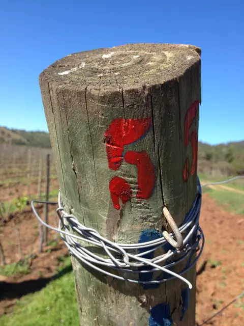 Weathered wooden vineyard end post wrapped in trellis wire, hand-painted with a red number