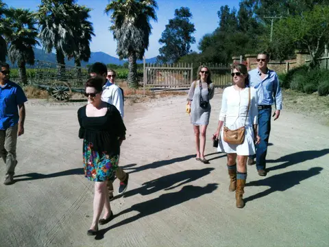 Group of tour guests walking a palm-lined dirt drive towards a vineyard on a clear day