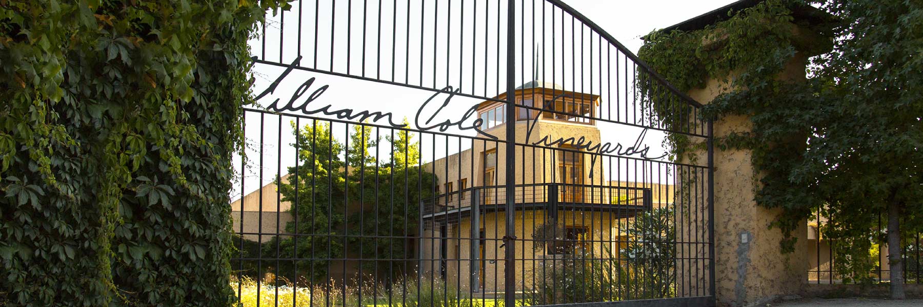 William Cole Vineyards estate in the Casablanca Valley