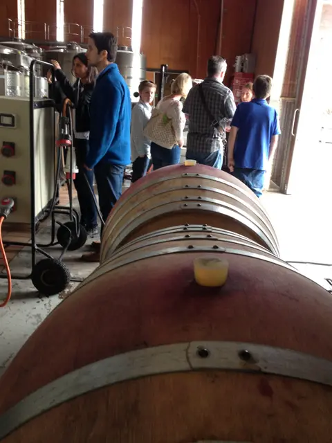Group of guests standing among oak barrels during a cellar tour, barrel bungs in the foreground