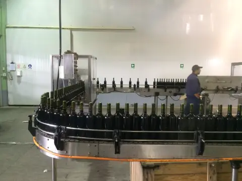 Filled wine bottles moving along a curved conveyor on a winery bottling line, worker alongside
