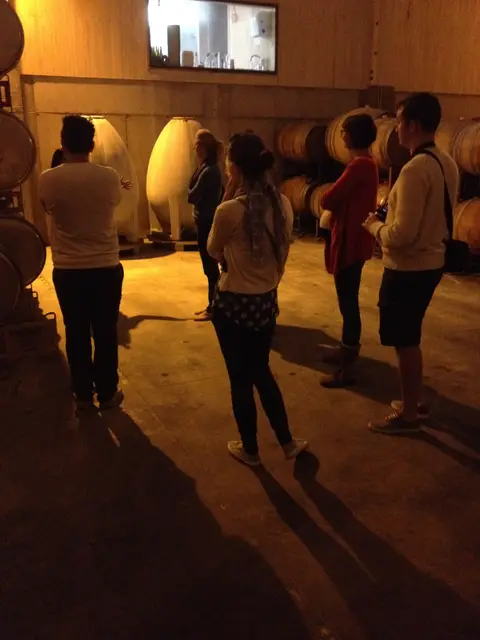 Group of guests standing in a barrel cellar beside two large white concrete fermentation eggs