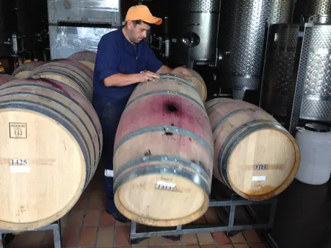 Cellar worker in an orange cap topping up an oak barrel