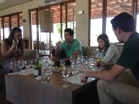 Four guests seated on low sofas around a table of wine glasses in a modern winery lounge open to a terrace