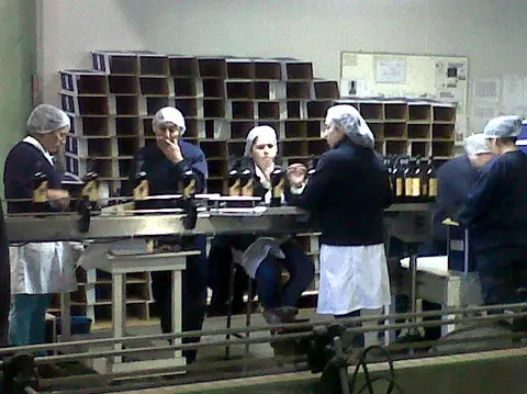 Winery workers in hairnets and aprons packing bottles into boxes along a bench