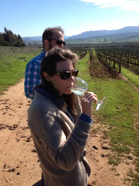 Guest tasting white wine standing on a dirt track between bare winter vines, hills behind