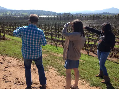 Three guests with wine glasses looking out over bare winter vines towards a lagoon and palm trees